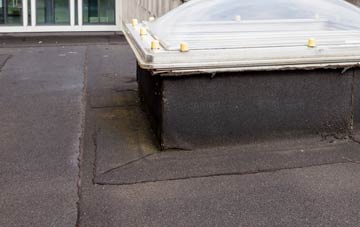 disadvantages of Hopton Wafers flat roofs