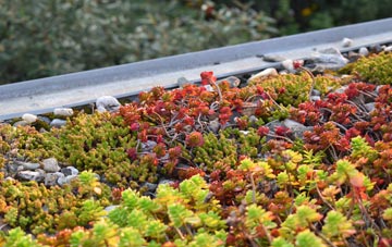 the cost of Hopton Wafers green roof installation
