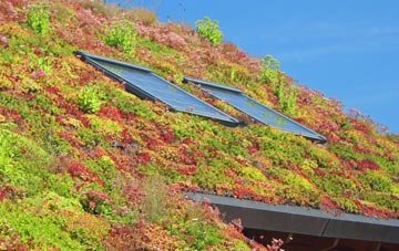 Hopton Wafers living roof systems