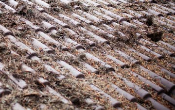 Hopton Wafers roof cleaning companies