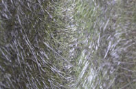 Hopton Wafers fibreglass roof work